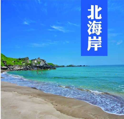 浪漫春櫻北海岸漫遊