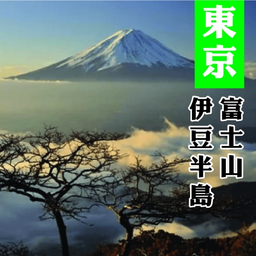 東京箱根富士山伊豆半島休閒五天-CX5558