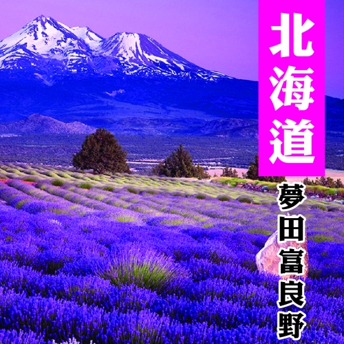 北海道紫色夢田 百萬夜景‧小樽咖啡‧富良野五天(函旭)