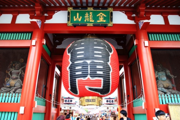 東京海濱公園賞花輕井澤溫泉五天