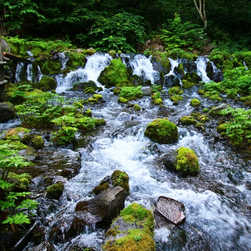 北海道紫氣冬來小樽咖啡羊蹄山名水公園白色戀人五天